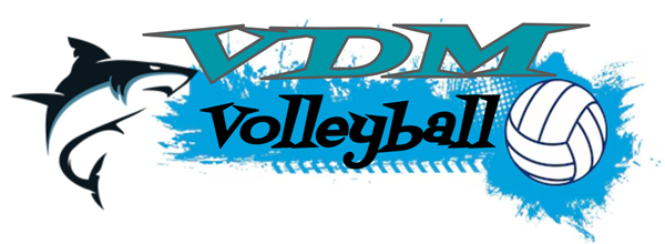  Volleyball